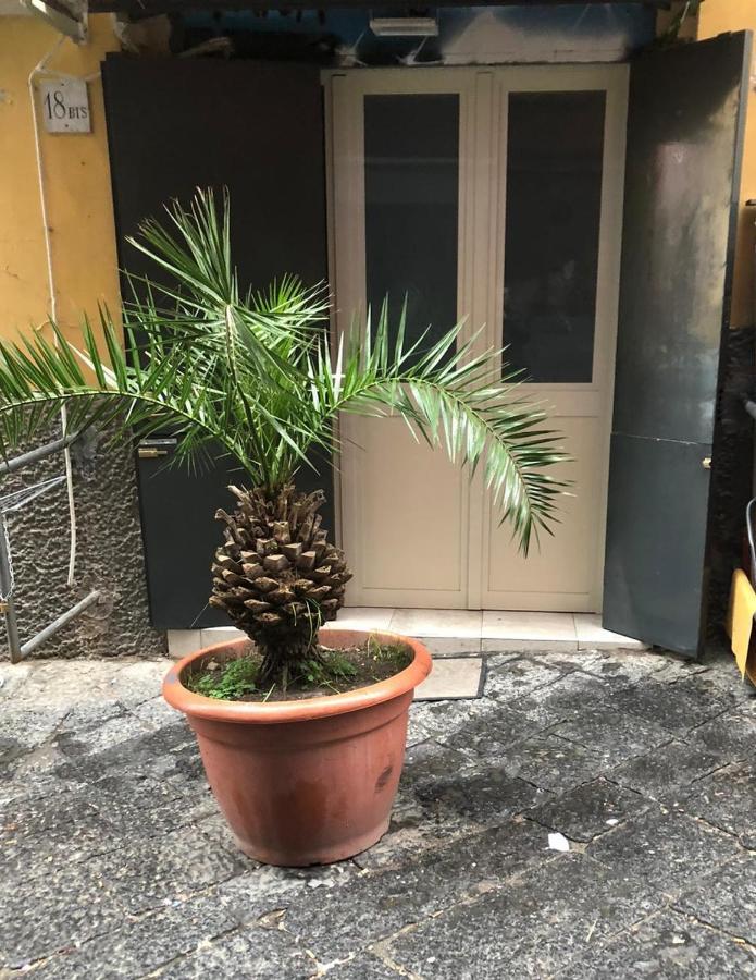 Graphite House Daire Napoli Dış mekan fotoğraf